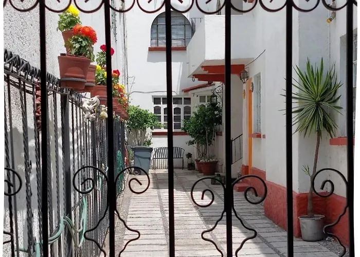 Calidez Y Tranquilidad